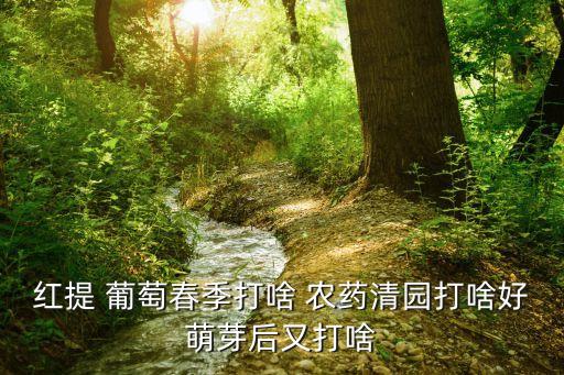 種葡萄春天用什么農(nóng)藥,葡萄一般打什么農(nóng)藥