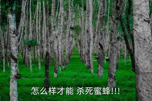 什么農(nóng)藥能殺死黑蜂呢,蝸牛用什么農(nóng)藥可以殺死