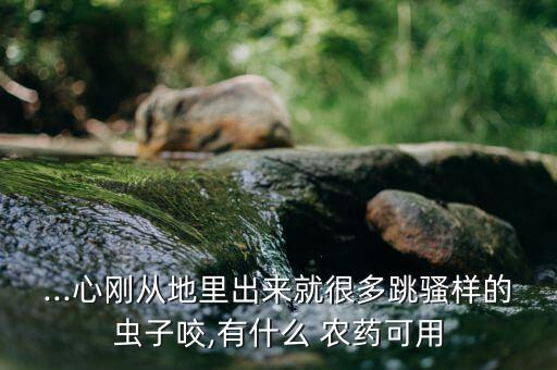 白菜苔打什么農藥比較甜,白菜殺蟲用什么農藥