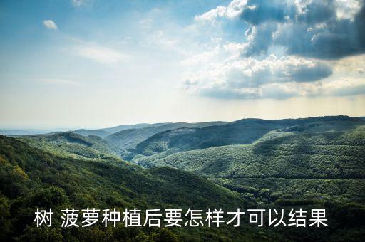 樹 菠蘿種植后要怎樣才可以結果