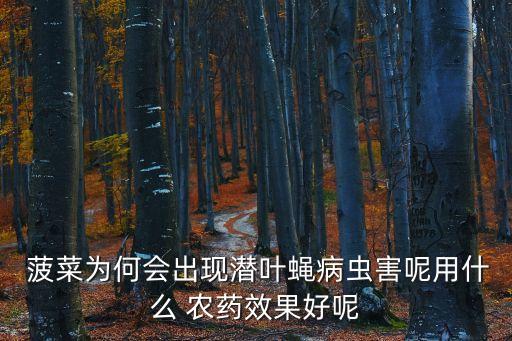 菠菜為何會出現潛葉蠅病蟲害呢用什么 農藥效果好呢