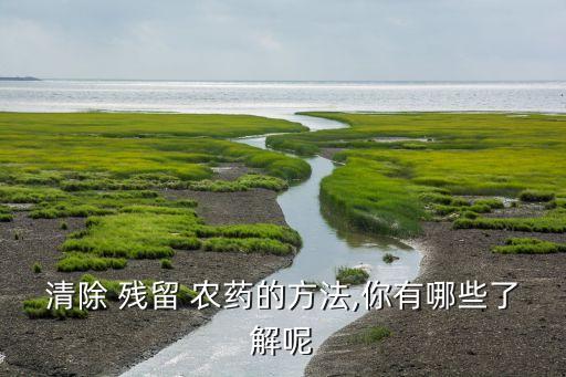 清除 殘留 農藥的方法,你有哪些了解呢