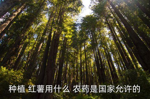 種紅薯打什么農藥好,紅薯會不會打農藥