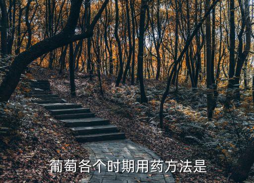  葡萄各個(gè)時(shí)期用藥方法是