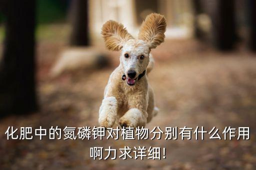 閃控農藥起什么作用,農藥公司起什么名字好