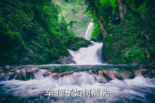 拿什么洗車厘子去農藥,用什么洗車厘子比較干凈