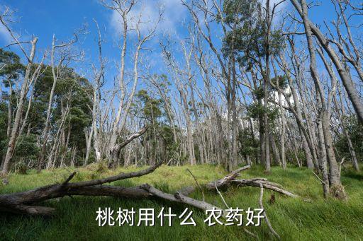 打算需要打什么農藥,西瓜一般打什么農藥