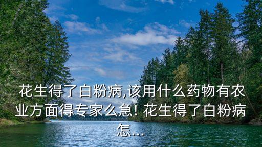  花生得了白粉病,該用什么藥物有農業方面得專家么急! 花生得了白粉病怎...