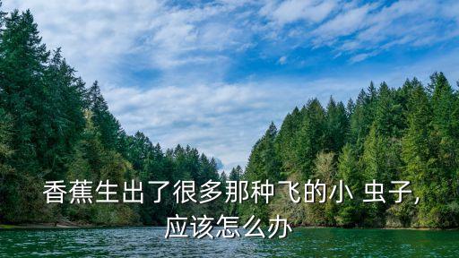 什么農藥能殺死香蕉蟲子,什么除草劑可以殺死香蕉