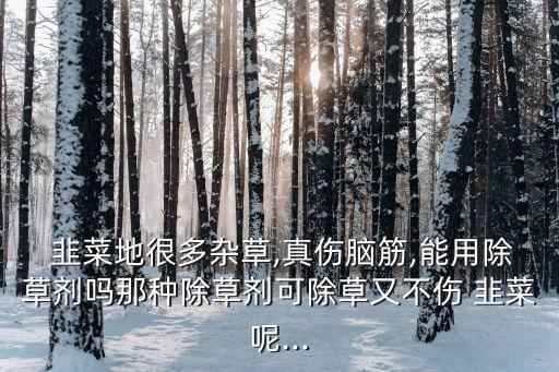  韭菜地很多雜草,真傷腦筋,能用除草劑嗎那種除草劑可除草又不傷 韭菜呢...