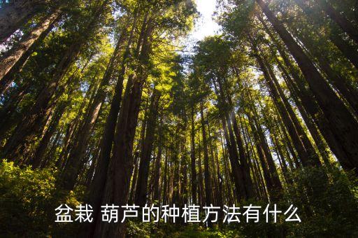 葫蘆瓜流膠打什么農(nóng)藥