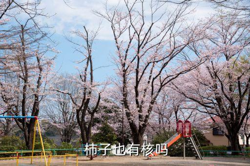 無農藥柿子里面什么樣,柿子打什么農藥