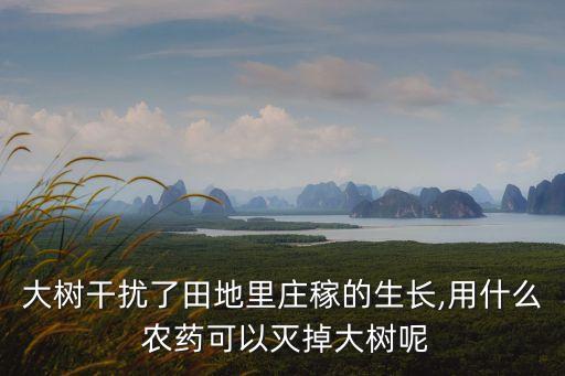 什么農藥對葦子有效果,醋能什么農藥有效果