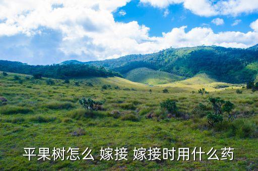 嫁接的樹(shù)用什么農(nóng)藥好嗎,嫁接樹(shù)的方法視頻