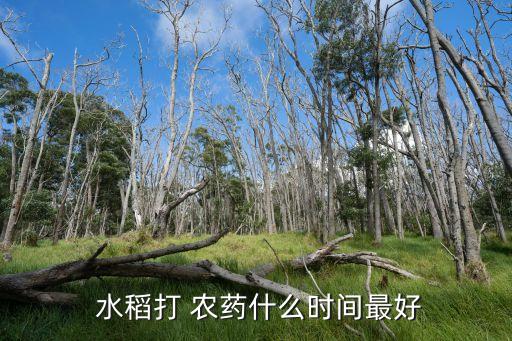 為什么水稻晚上打農藥會死,晚上為什么不能打農藥