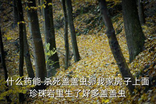 什么農藥可以殺死昆蟲卵,甲殼蟲昆蟲用什么農藥
