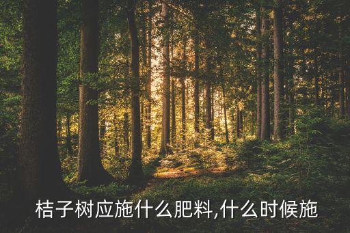  桔子樹應施什么肥料,什么時候施
