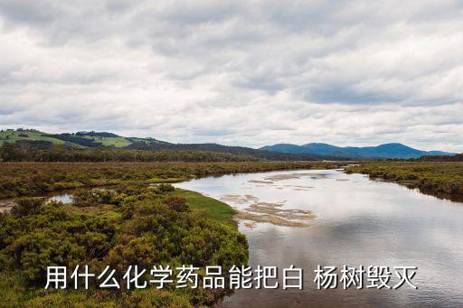 用什么化學藥品能把白 楊樹毀滅