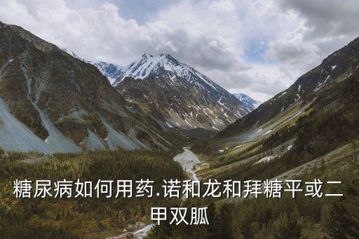 糖尿病如何用藥.諾和龍和拜糖平或二甲雙胍