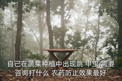 自己在蔬菜種植中出現(xiàn)跳 甲蟲,需要咨詢打什么 農(nóng)藥防止效果最好