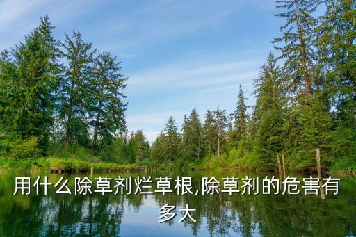 用什么除草劑爛草根,除草劑的危害有多大