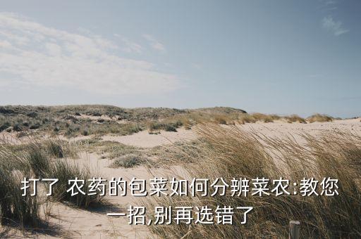 打了 農(nóng)藥的包菜如何分辨菜農(nóng):教您一招,別再選錯(cuò)了