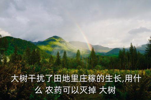 大樹用什么農(nóng)藥滅死,有沒有什么農(nóng)藥能把大樹打死