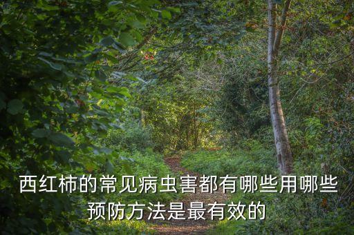 種植西紅柿打什么農藥長蟲,西紅柿什么時間種植是最佳時間