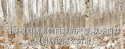 什么農藥專治蒜蛆