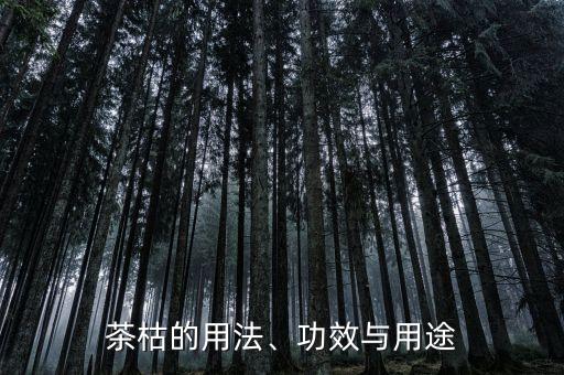茶枯的用法、功效與用途