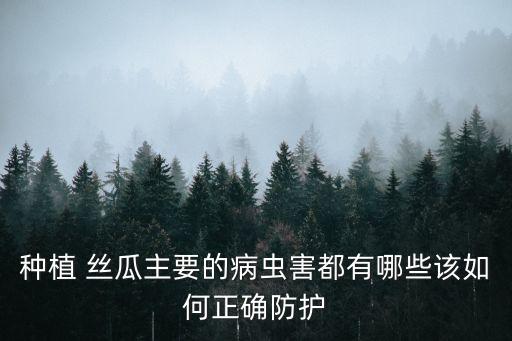 種植 絲瓜主要的病蟲害都有哪些該如何正確防護