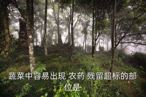 蔬菜中容易出現 農藥 殘留超標的部位是