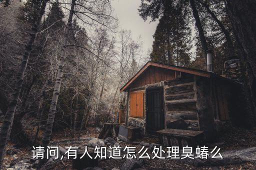 請問,有人知道怎么處理臭蝽么