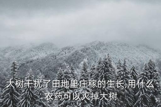 大樹干擾了田地里莊稼的生長,用什么 農藥可以滅掉大樹