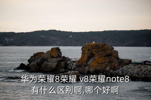 農藥v8什么意思,農藥產品標準號什么意思