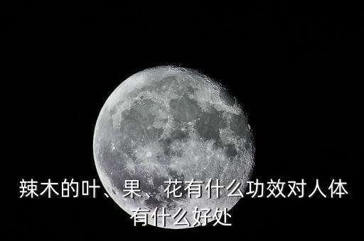 辣木是什么農藥,辣木籽的主治功能是什么