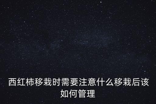 嫁接西紅柿苗后用什么農藥,西紅柿可以嫁接什么植物