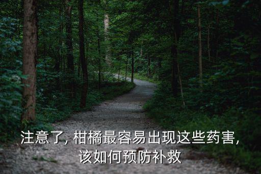 注意了, 柑橘最容易出現這些藥害,該如何預防補救