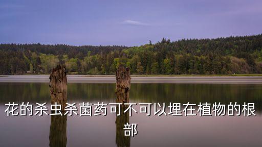 花的殺蟲殺菌藥可不可以埋在植物的根部