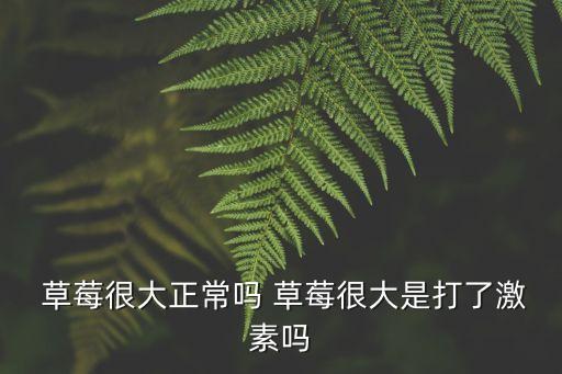  草莓很大正常嗎 草莓很大是打了激素嗎