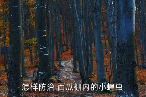 怎樣防治 西瓜棚內的小蝗蟲