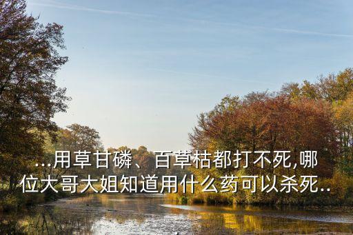 ...用草甘磷、百草枯都打不死,哪位大哥大姐知道用什么藥可以殺死...