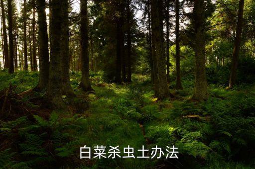  白菜殺蟲土辦法