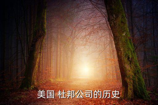 杜邦農藥在什么地方有,杜邦線一般什么地方有賣