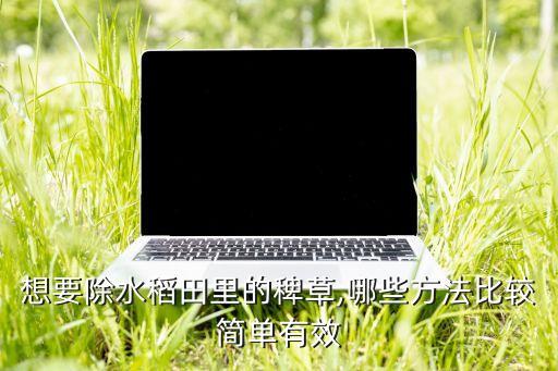 公稻子用什么農藥,什么是公稻子