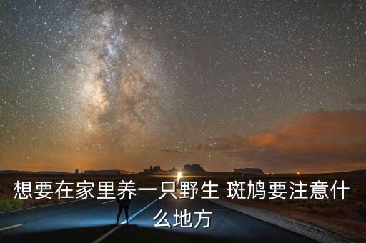 想要在家里養一只野生 斑鳩要注意什么地方