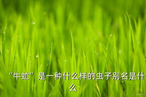 什么農(nóng)藥可以殺死馬蠅,馬蠅用什么藥可以殺死