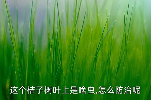 柑橘牙蟲用什么農藥治療