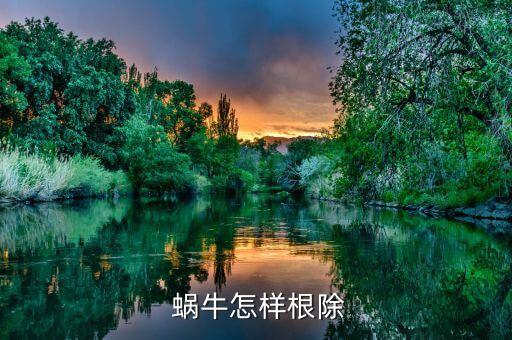  蝸牛怎樣根除