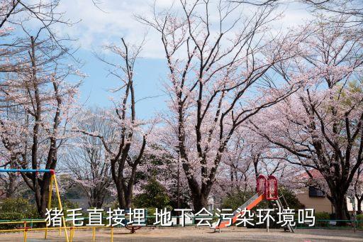 什么農(nóng)藥能埋地下,治地下蟲什么農(nóng)藥最好